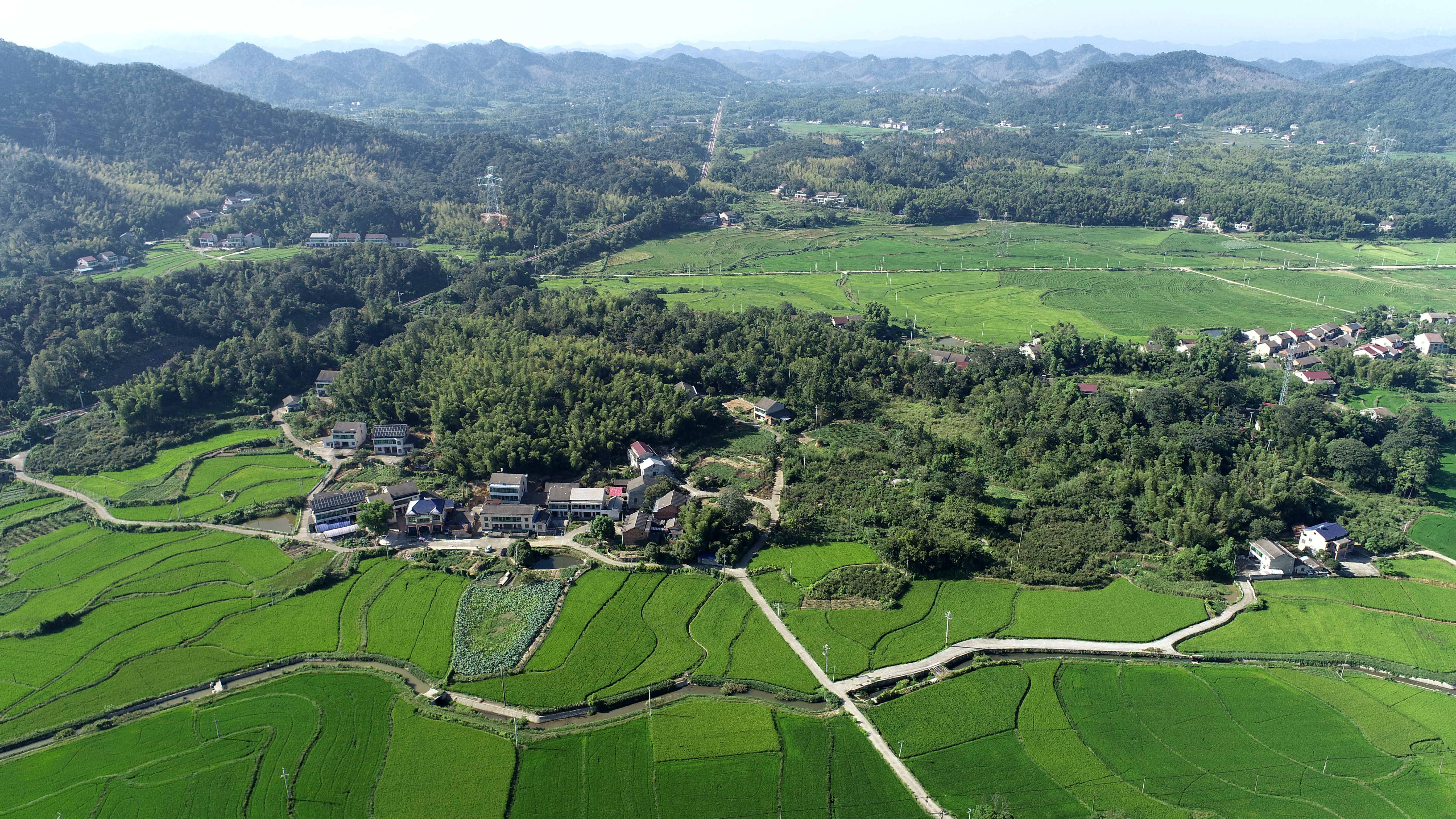 益阳赫山区342.94亩水田经营权出租