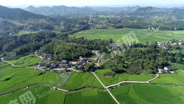 益阳赫山区 342.94亩 水田 经营权出租