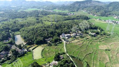 益阳赫山区828.68亩水田经营权出租