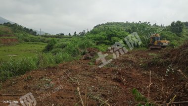 九江庐山市 80亩 水浇地 经营权出租