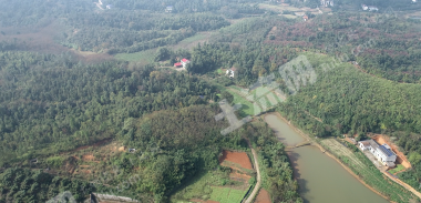 益阳赫山区 243.52亩 水田 经营权出租