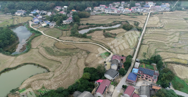 益阳赫山区 167.55亩 水田 经营权出租