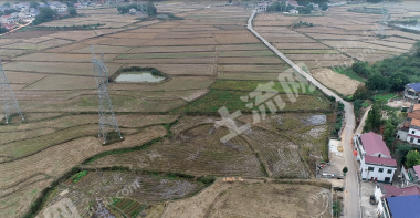 益阳赫山区 190.56亩 水田 经营权出租