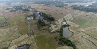 益阳赫山区 130.66亩 水田 经营权出租