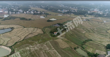 益阳赫山区 102.51亩 水田 经营权出租