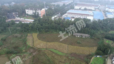 益阳赫山区 27.73亩 水田 经营权出租