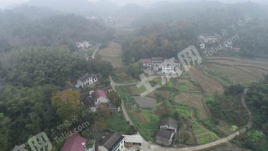 益阳赫山区 80.11亩 水田 经营权出租