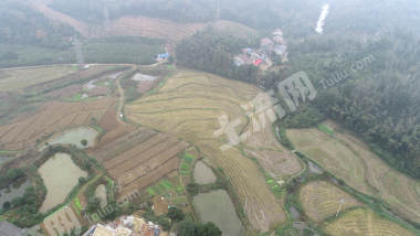 益阳赫山区 184.36亩 水田 经营权出租