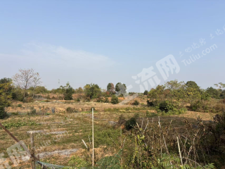 宜春高安市 150亩 水浇地 经营权出租