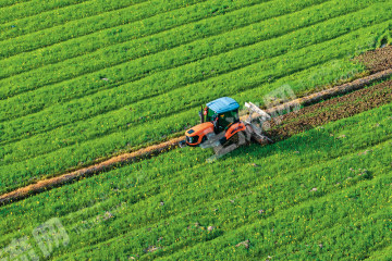 九江湖口县 316.5亩 水浇地 经营权出租