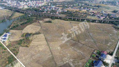 益阳赫山区 450.22亩 水田 经营权出租