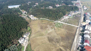 益阳赫山区 115.46亩 水田 经营权出租