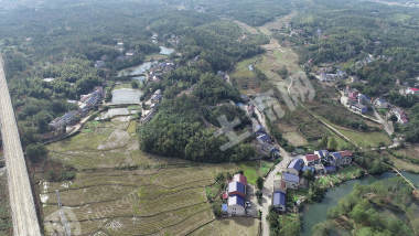 益阳赫山区 208.29亩 水田 经营权出租