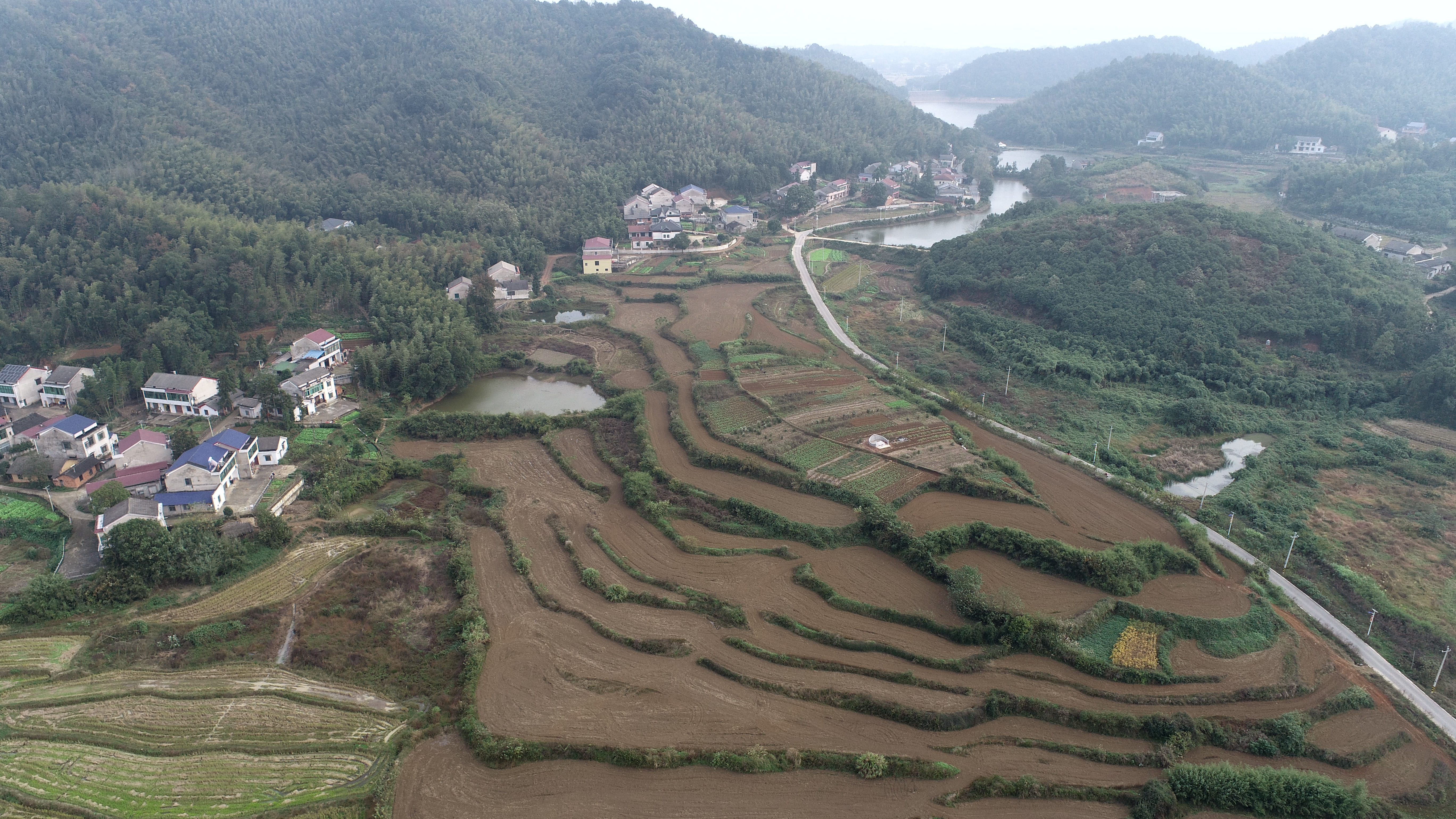 益阳赫山区 881.28亩 水田 经营权出租