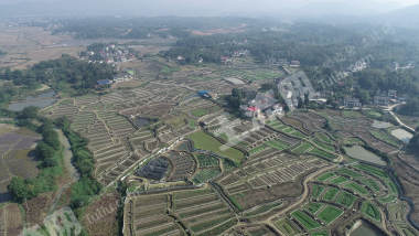 益阳赫山区 419.58亩 水田 经营权出租