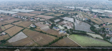 益阳赫山区 610.71亩 水田 经营权出租