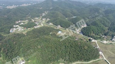 益阳赫山区 133.63亩 水田 经营权出租