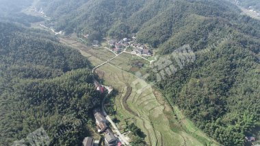 益阳赫山区 78.04亩 水田 经营权出租