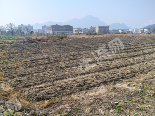 九江庐山市 190亩 水浇地 经营权出租