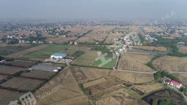 益阳赫山区 728.8亩 水田 经营权出租
