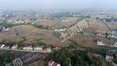 益阳赫山区 215.6亩 水田 经营权出租