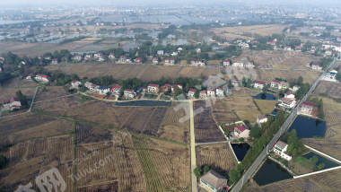 益阳赫山区 273.28亩 水田 经营权出租