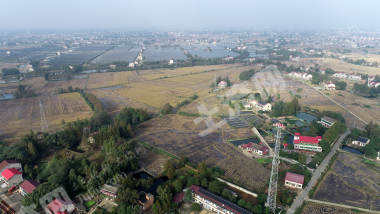 益阳赫山区 485.3亩 水田 经营权出租