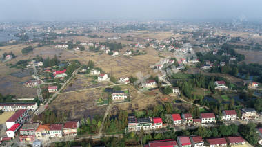 益阳赫山区 236.5亩 水田 经营权出租