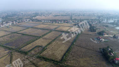 益阳赫山区 348.5亩 水田 经营权出租