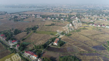 益阳赫山区 446.74亩 水田 经营权出租