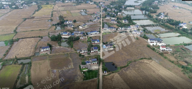 益阳赫山区 483.97亩 水田 经营权出租