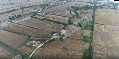 益阳赫山区 299.68亩 水田 经营权出租