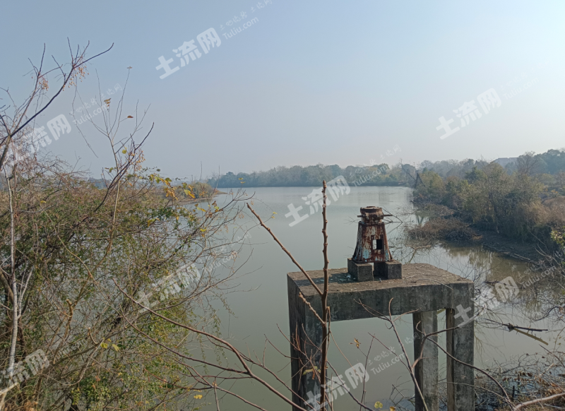 宜春高安市250.0亩水库水面经营权出租