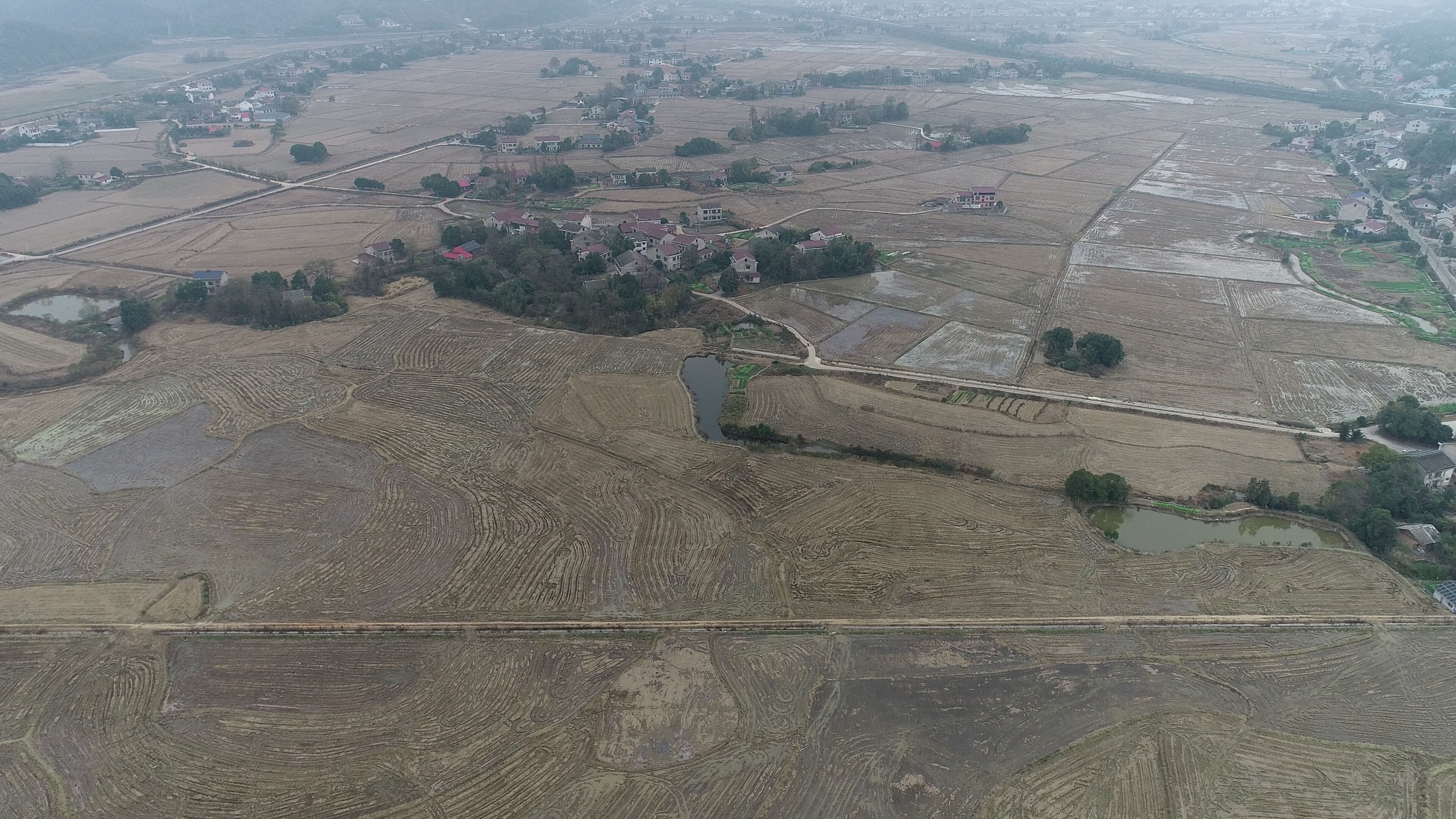 益阳赫山区 425.21亩 水田 经营权出租