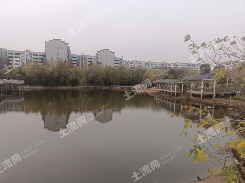 宜春高安市 6.5亩 坑塘水面 经营权出租