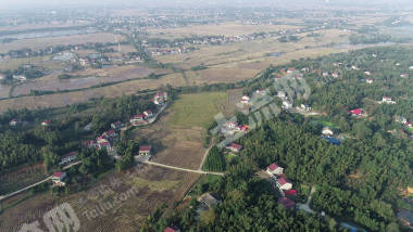 益阳赫山区 302.1亩 水田 经营权出租