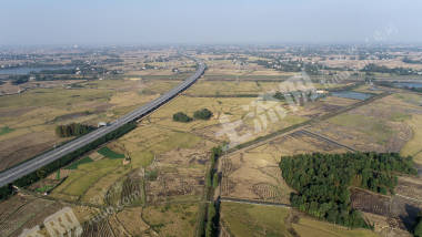 益阳赫山区 591.2亩 水田 经营权出租