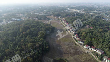 益阳赫山区 309.8亩 水田 经营权出租