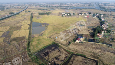 益阳赫山区 714.5亩 水田 经营权出租