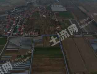 咸宁赤壁市 300亩 水浇地 经营权出租