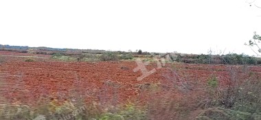 宜春高安市 12478亩 水浇地 经营权出租