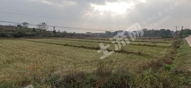 宜春高安市 15632亩 水浇地 经营权出租