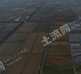 咸宁赤壁市 300亩 水浇地 经营权出租