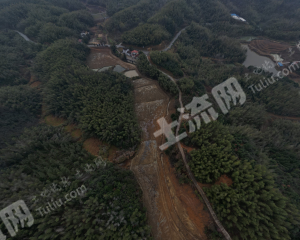 咸宁赤壁市 105.72亩 水浇地 经营权出租