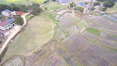 益阳赫山区454.0亩水田经营权出租