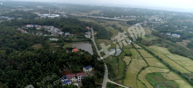 益阳赫山区 1102.67亩 水田 经营权出租