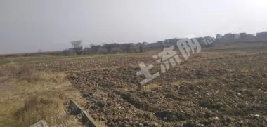 新余渝水区 20亩 水浇地 经营权出租