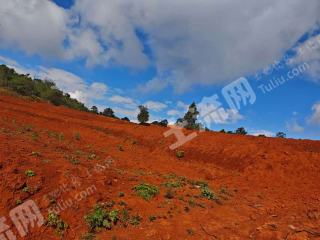玉溪峨山彝族自治县 183亩 水浇地 经营权出租