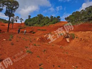 玉溪峨山彝族自治县 183亩 水浇地 经营权出租