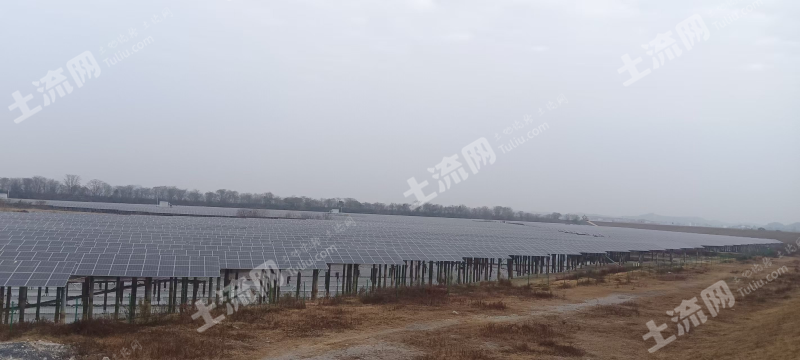 宜春高安市 284亩 坑塘水面 经营权出租